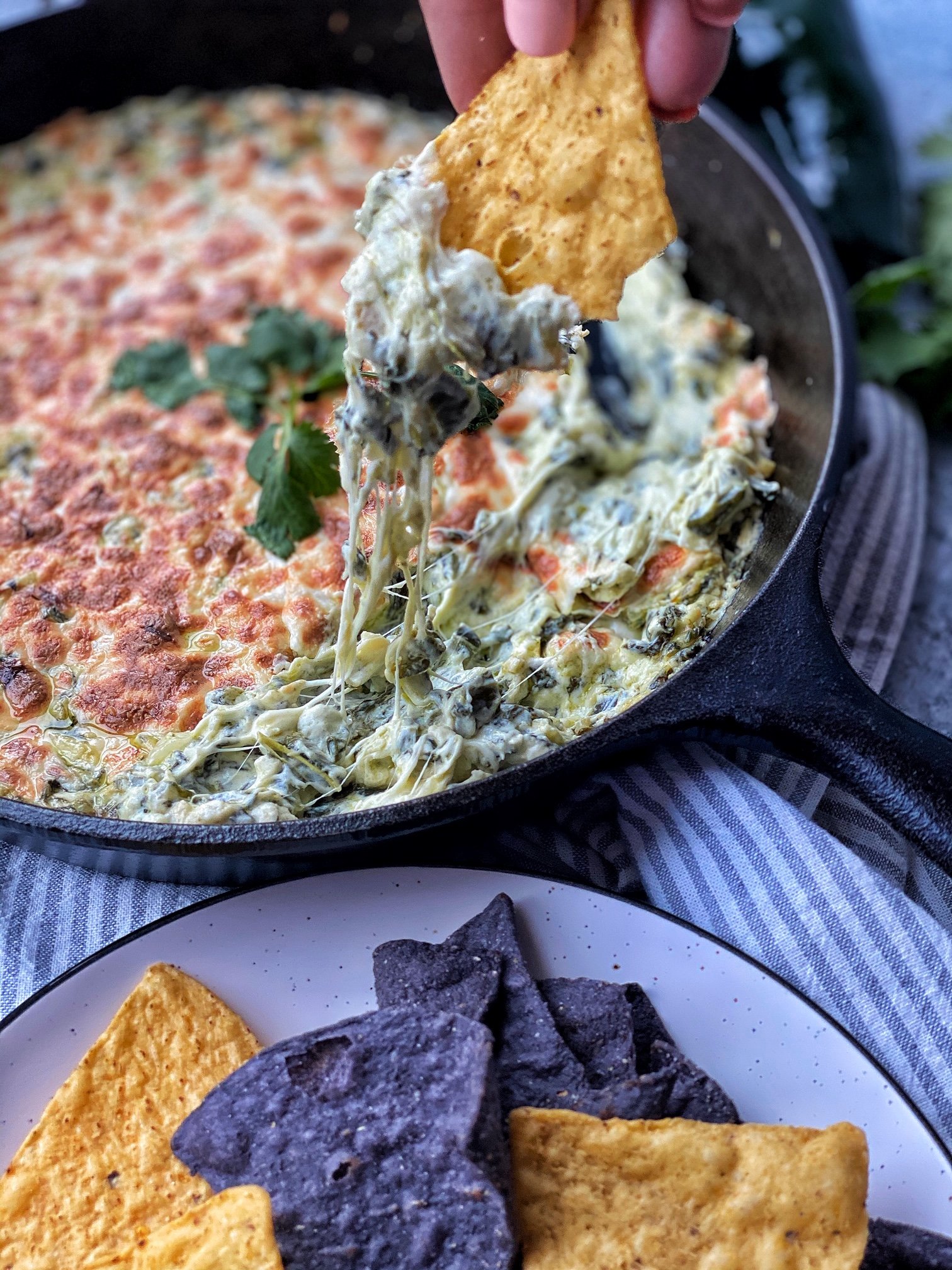 Spinach Poblano Dip in a cast iron with a tortilla chip with dip. Tortilla chips on the side.